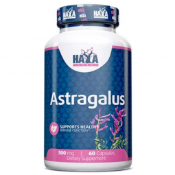 Astragalus 500 mg - 60 kapsula